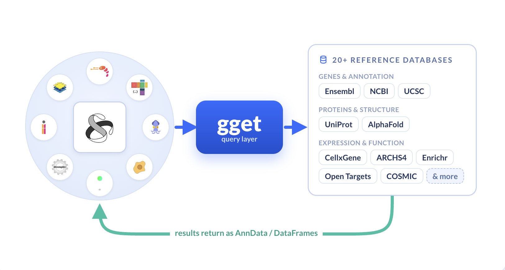 gget x scverse Overview.